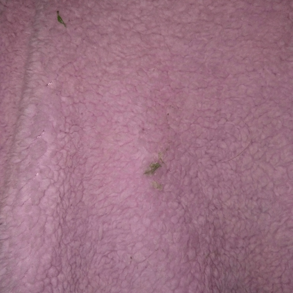 Jacket - Picture 3 of 5